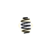 NAPA Rear Suspension Coil Spring NCS1613