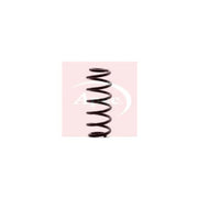 Apec Rear Suspension Coil Spring ACS1344