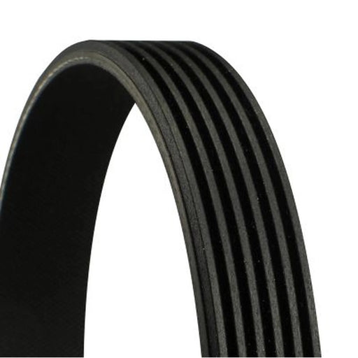 Continental CTAM Multi V-Ribbed Drive Belt 6PK1020