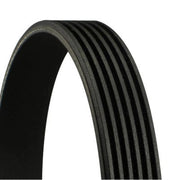 Continental CTAM Multi V-Ribbed Drive Belt 6PK2404