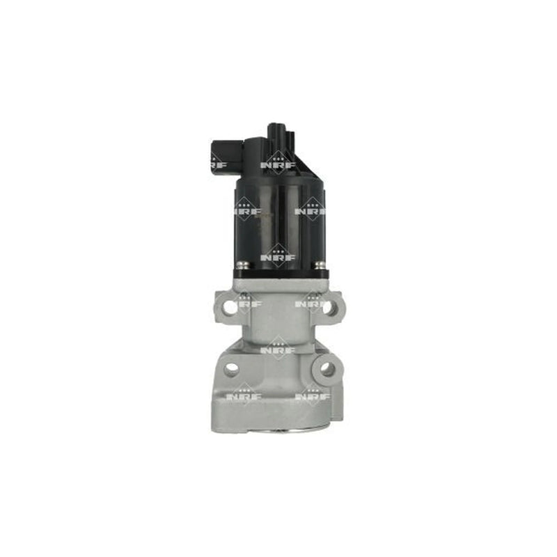NRF Exhaust Gas Recirculation Valve 48675