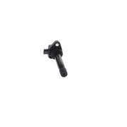 Bosch Ignition Coil Pack 0 986 22A 225
