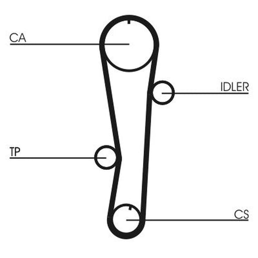 Continental CTAM Timing Belt Cambelt 105 Teeth CT942