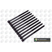 BGA Cylinder Head Bolt Set M12 BK3373