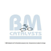 BM Catalysts Fitting Kit FK11289A FK11289A