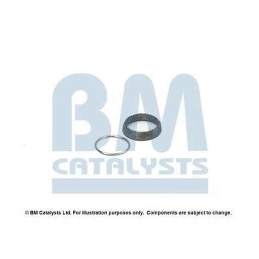 BM Catalysts Fitting Kit FK80694A FK80694A