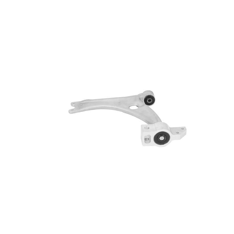 Delphi Control/Trailing Arm Front TC4495