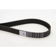 Continental CTAM Timing Belt Cambelt 160 Teeth CT1134