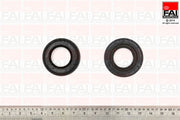 Fai OS1002F Shaft Seal, crankshaft