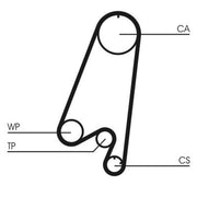 Continental CTAM Timing Belt Cambelt 107 Teeth CT910