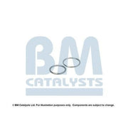 BM Catalysts Fitting Kit FK80289A FK80289A