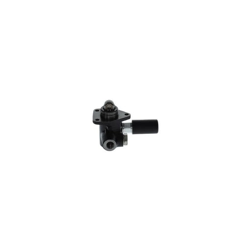 Bosch Fuel Pump Assembly 0 440 008 007