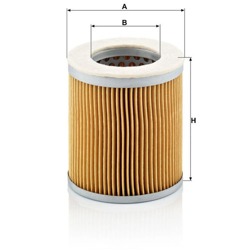 MANN-FILTER Engine Air Filter C 75/2