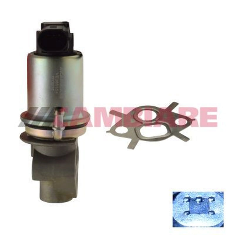 Cambiare Exhaust Gas Recirculation Valve VE360154
