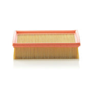 MANN-FILTER Engine Air Filter C 24 105