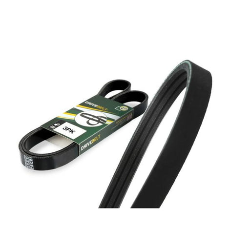 BGA Multi V-Ribbed Drive Belt 3PK794E