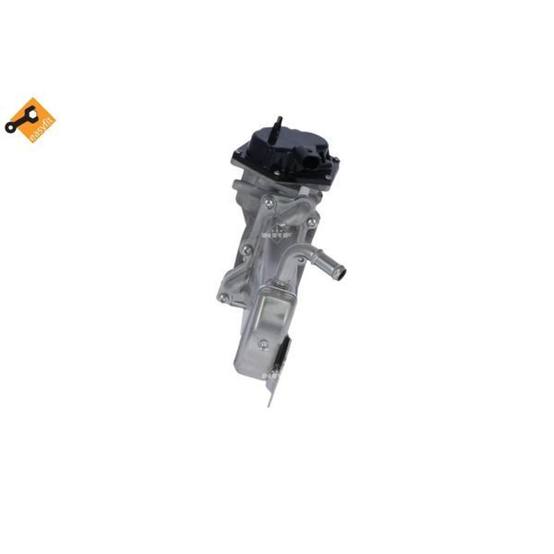 NRF Exhaust Gas Recirculation Valve 48210