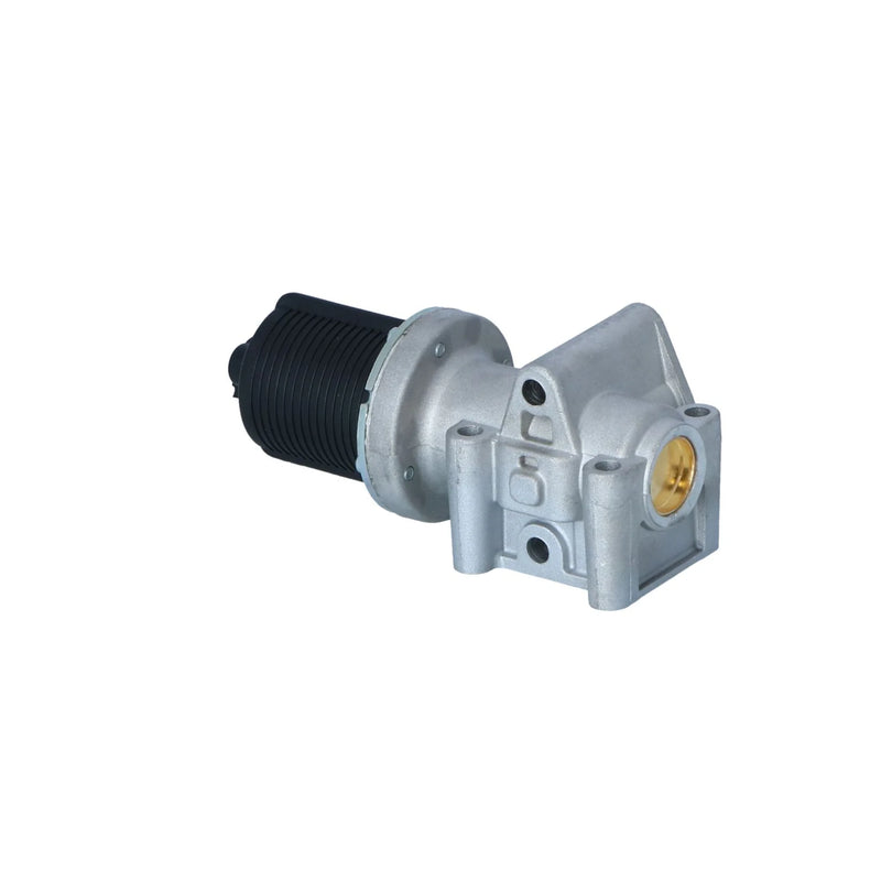 NRF Exhaust Gas Recirculation Valve 48326
