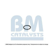 BM Catalysts Fitting Kit FK90285A FK90285A
