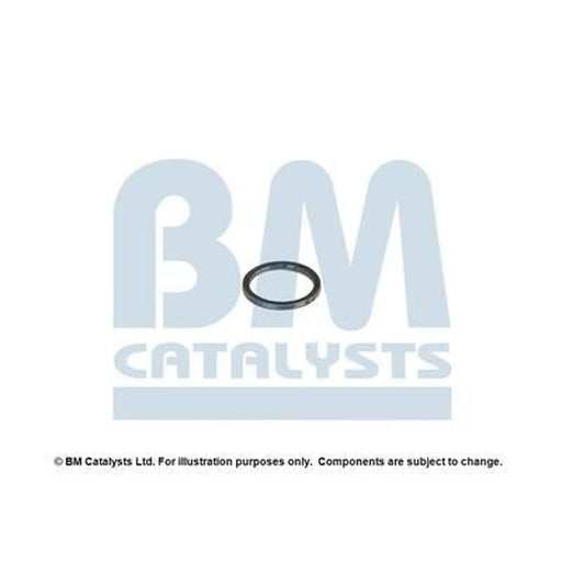 BM Catalysts Fitting Kit FK90285A FK90285A