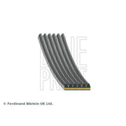 Blue Print Multi V-Ribbed Drive Belt AD06A1194