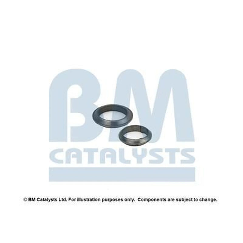 BM Catalysts Exhaust Pipe Mounting Kit FK70441A