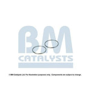 BM Catalysts Fitting Kit FK11223A FK11223A