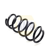 NAPA Rear Suspension Coil Spring NCS2436