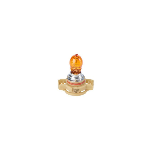 Bosch Indicator Turn Signal Bulb PG20/4 12V 2 1 987 302 267