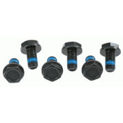 Sachs Clutch Bolt Kit (Special Order) 3096005000