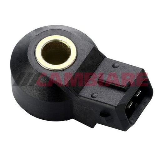 Cambiare Engine Knock Sensor VE369158