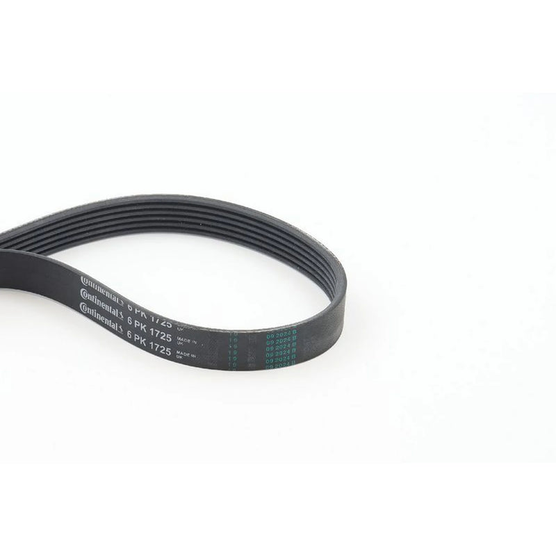 Continental CTAM Multi V-Ribbed Drive Belt 6PK1725