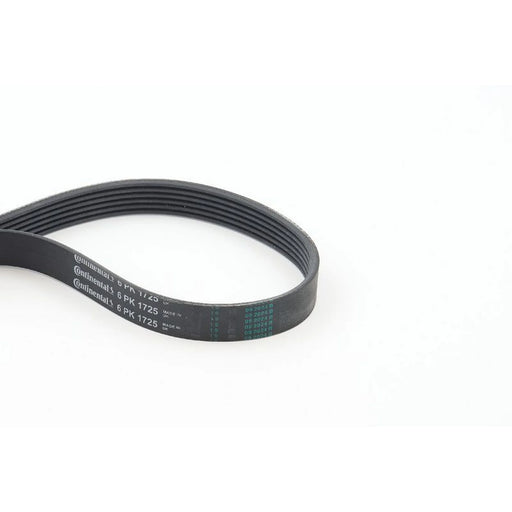 Continental CTAM Multi V-Ribbed Drive Belt 6PK1725