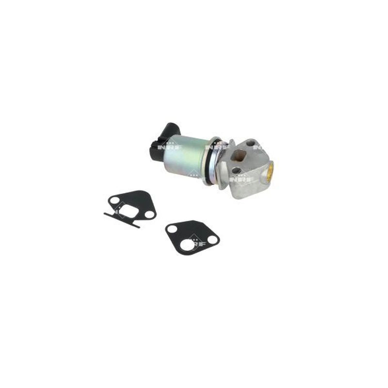 NRF Exhaust Gas Recirculation Valve 48330