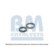 BM Catalysts Fitting Kit FK80485A FK80485A