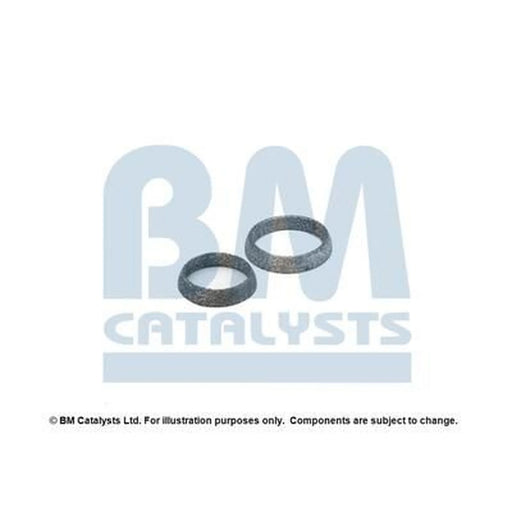 BM Catalysts Fitting Kit FK80485A FK80485A