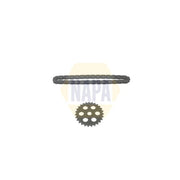 NAPA Oil Pump Drive Chain Kit NCK4229