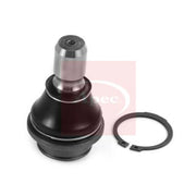 Apec Ball Joint Front Right AST0310