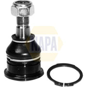 NAPA Ball Joint Front Right NST0050