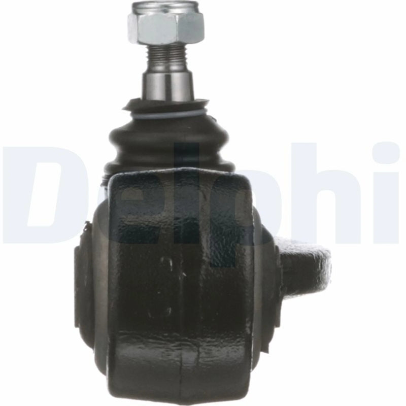 Delphi Control/Trailing Arm Lower TC286