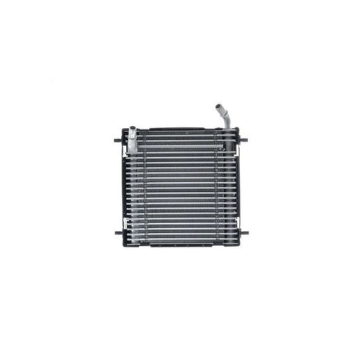 Mahle Engine Oil Cooler Right CLC 291 000P