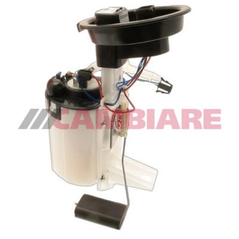 Cambiare Fuel Tank Sender Unit in the fuel tank VE523050