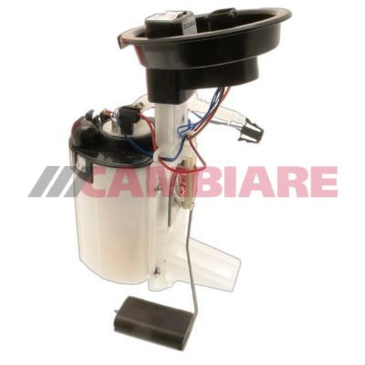 Cambiare Fuel Tank Sender Unit in the fuel tank VE523050