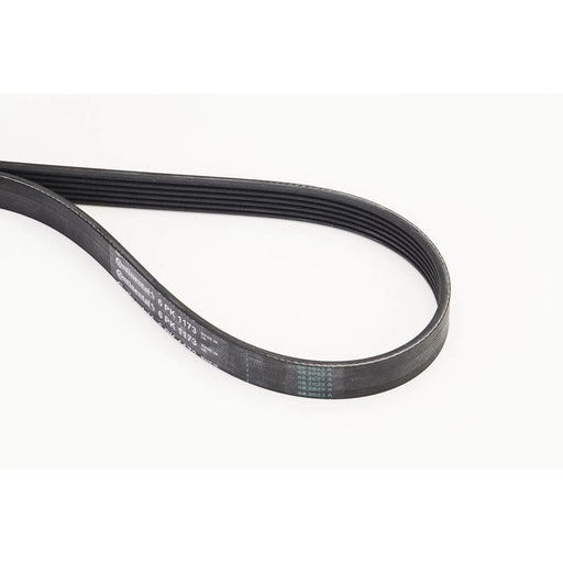 Continental CTAM Multi V-Ribbed Drive Belt 6PK1173