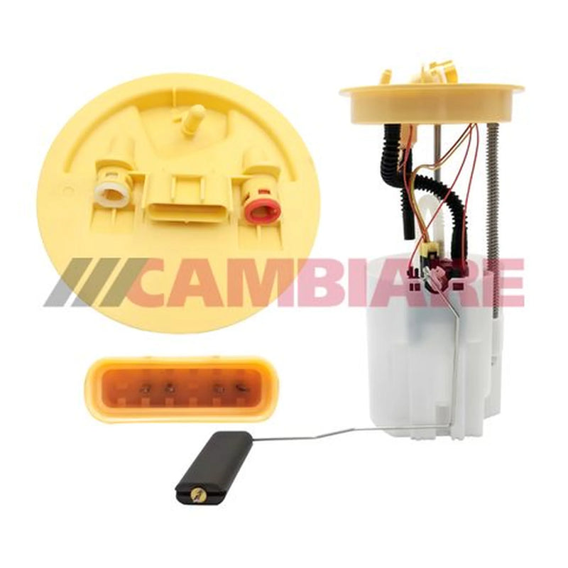 Cambiare Fuel Tank Sender Unit VE527017