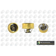 BGA Thermostat,Coolant CT5525