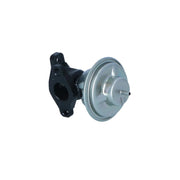 NRF Exhaust Gas Recirculation Valve 48614