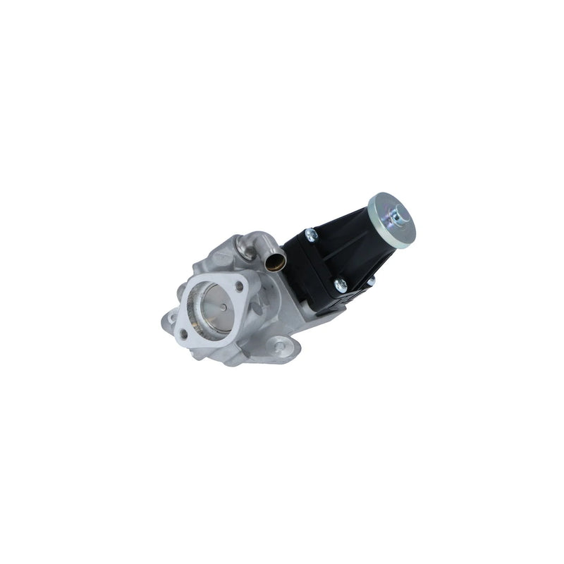 NRF Exhaust Gas Recirculation Valve 48356