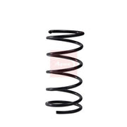 Apec Front Suspension Coil Spring ACS2300