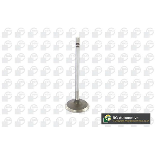 BGA Engine Intake Valve Head V229666